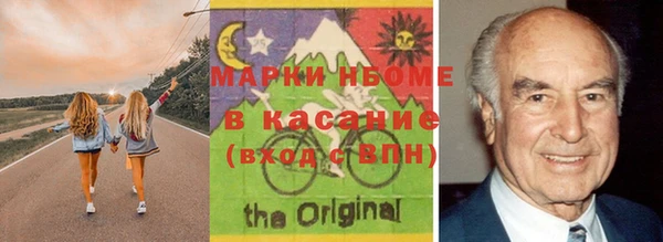 прущие грибы Елабуга