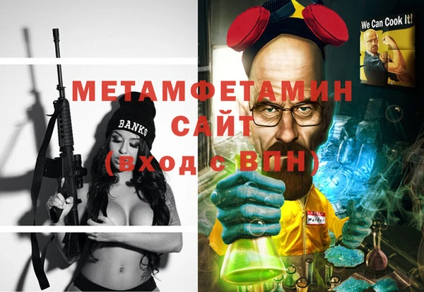 прущие грибы Елабуга
