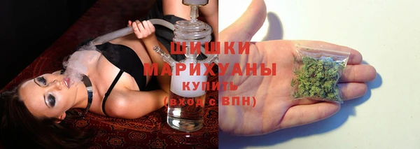 прущие грибы Елабуга