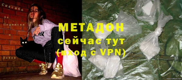 прущие грибы Елабуга