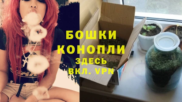 прущие грибы Елабуга